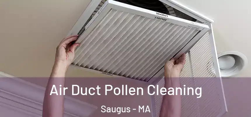  Air Duct Pollen Cleaning Saugus - MA