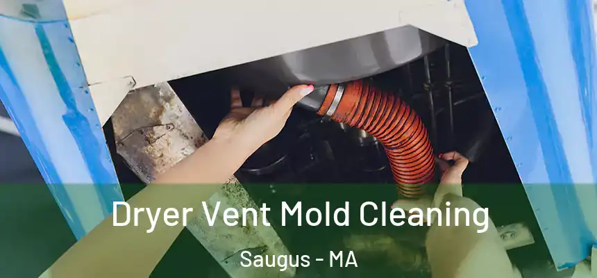  Dryer Vent Mold Cleaning Saugus - MA