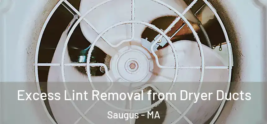  Excess Lint Removal from Dryer Ducts Saugus - MA