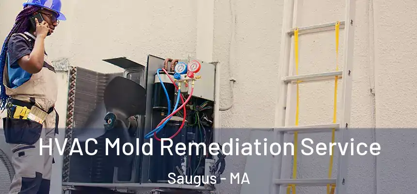  HVAC Mold Remediation Service Saugus - MA