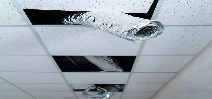 Our Air Duct Pet Hair Removal Services in Saugus, MA