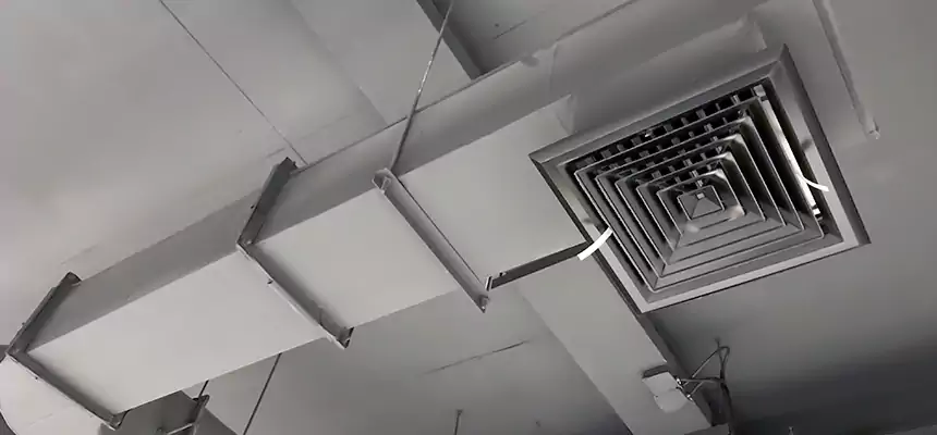 Our Pest Removal From Ducts Services in Saugus, MA