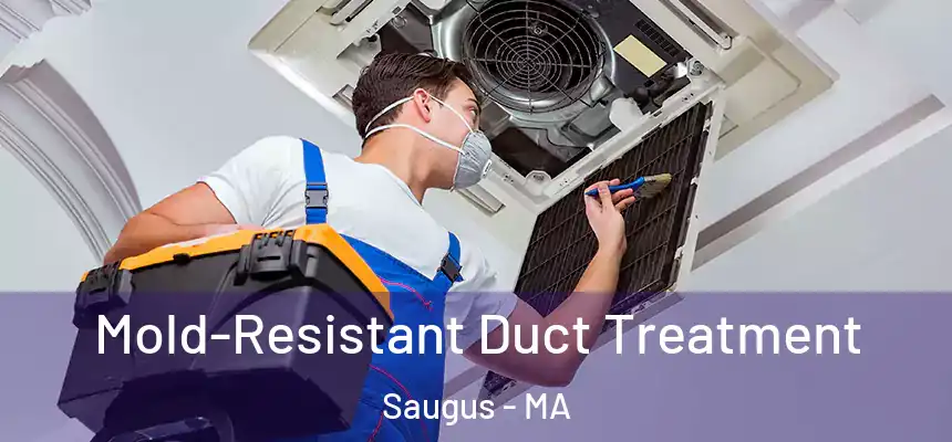  Mold-Resistant Duct Treatment Saugus - MA