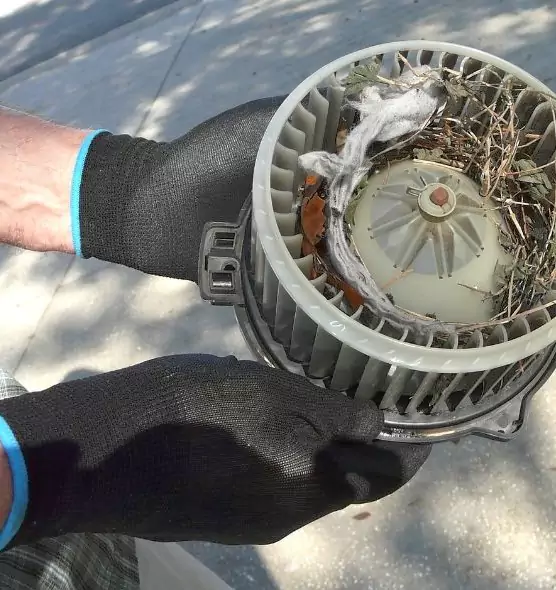 About Air Duct Mice Removal in Saugus, MA