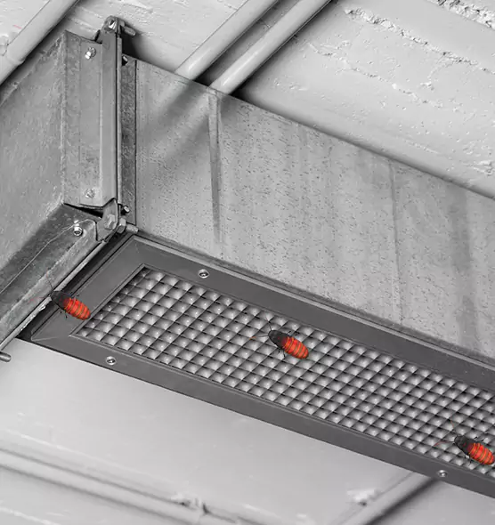 Affordable Insect Removal from Air Ducts in Saugus, MA