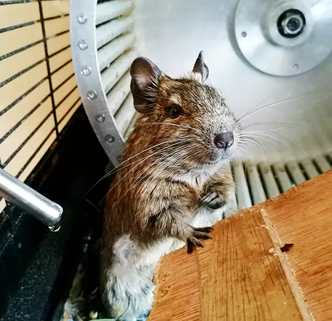 Why Homeowners & Businesses Trust Us Saugus, MA?