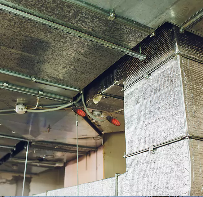 Why Homeowners & Businesses Trust Us Saugus, MA?